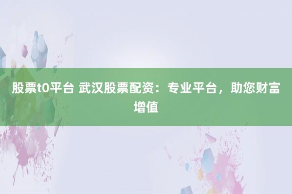 股票t0平台 武汉股票配资：专业平台，助您财富增值
