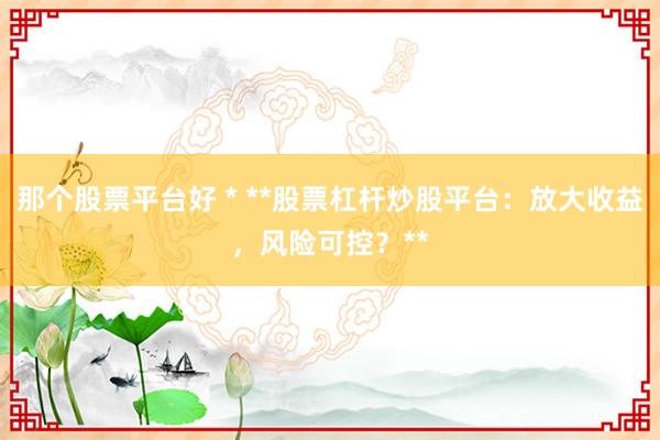 那个股票平台好 * **股票杠杆炒股平台：放大收益，风险可控？**
