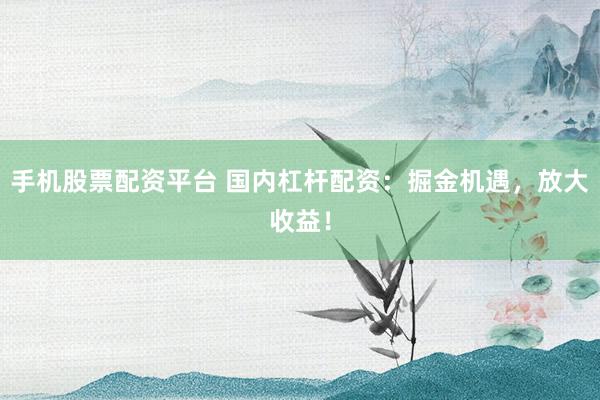手机股票配资平台 国内杠杆配资：掘金机遇，放大收益！