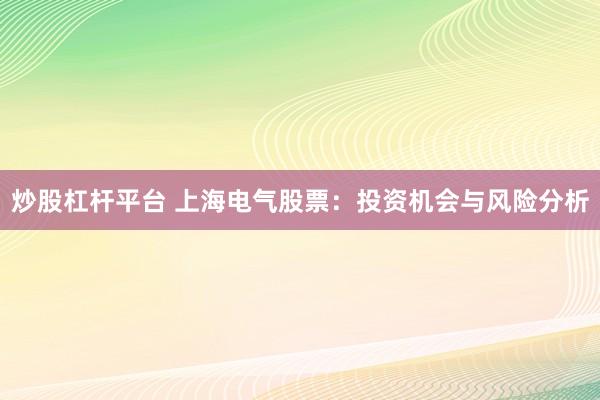 炒股杠杆平台 上海电气股票：投资机会与风险分析
