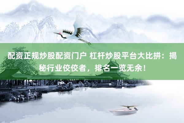 配资正规炒股配资门户 杠杆炒股平台大比拼：揭秘行业佼佼者，排名一览无余！