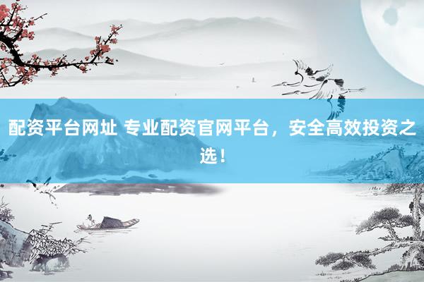 配资平台网址 专业配资官网平台，安全高效投资之选！