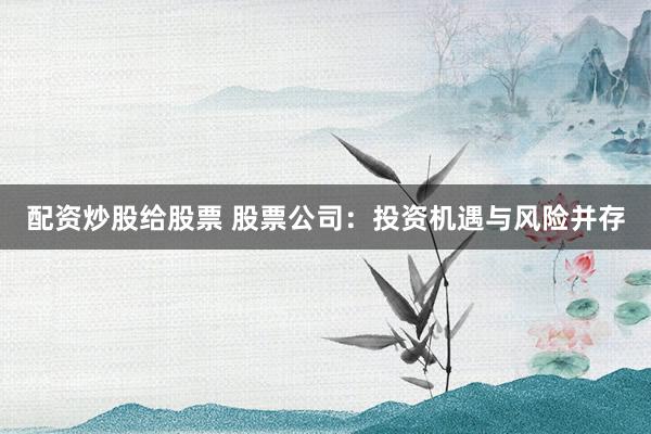 配资炒股给股票 股票公司:投资机遇与风险并存