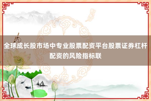 全球成长股市场中专业股票配资平台股票证券杠杆配资的风险指标联