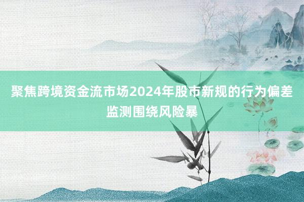 聚焦跨境资金流市场2024年股市新规的行为偏差监测围绕风险暴