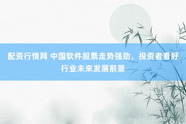 配资行情网 中国软件股票走势强劲，投资者看好行业未来发展前景
