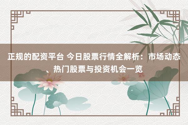 正规的配资平台 今日股票行情全解析：市场动态、热门股票与投资机会一览